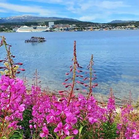 Northern Dreams With Free Parking Tromso